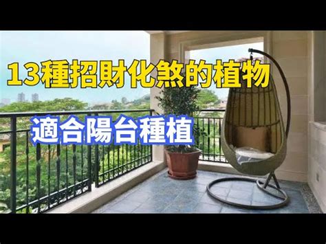 前陽台植物風水|【風水特輯】旺事業、文昌！陽台風水 2項必做+9種母。